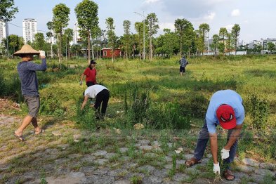 Làm thuốc ở Trường Xanh Tuệ Đức, Khu Đô Thị Thanh Hà, Hà Nội