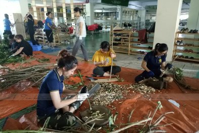 Làm thuốc ở Trường Xanh Tuệ Đức, Khu Đô Thị Thanh Hà, Hà Nội