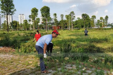 Làm thuốc ở Trường Xanh Tuệ Đức, Khu Đô Thị Thanh Hà, Hà Nội