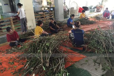 Làm thuốc ở Trường Xanh Tuệ Đức, Khu Đô Thị Thanh Hà, Hà Nội