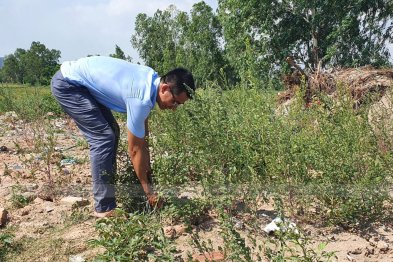 Làm thuốc ở Trường Xanh Tuệ Đức, Khu Đô Thị Thanh Hà, Hà Nội