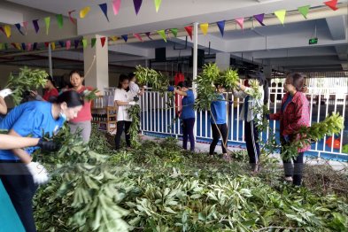 Làm thuốc ở Trường Xanh Tuệ Đức, Khu Đô Thị Thanh Hà, Hà Nội