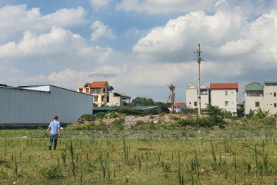 Làm thuốc ở Trường Xanh Tuệ Đức, Khu Đô Thị Thanh Hà, Hà Nội