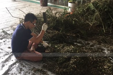 Làm thuốc ở Trường Xanh Tuệ Đức, Khu Đô Thị Thanh Hà, Hà Nội