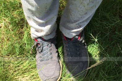 Hái cây thuốc Nam tại Thạch Thất - Hà Nội (27.06.2020) 