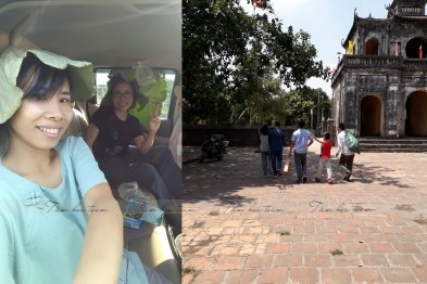 Hái cây thuốc Nam tại Hưng Yên (15.07.2020)