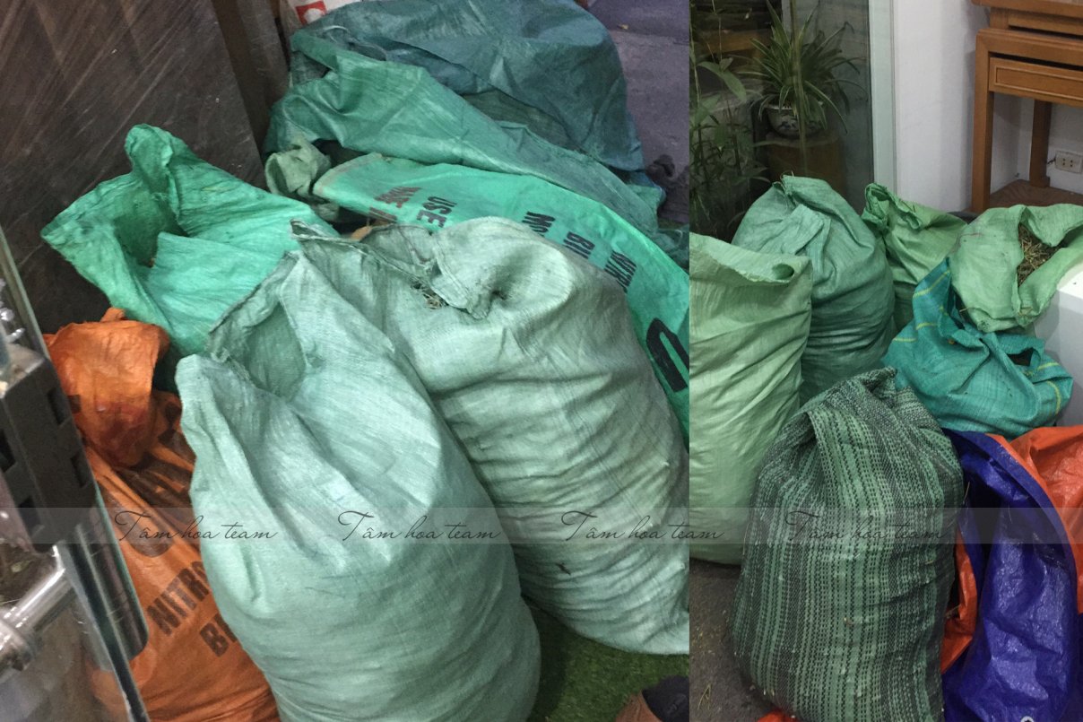 Sơ chế cây thuốc tại Happy Office Hà Nội (23.07.2020)