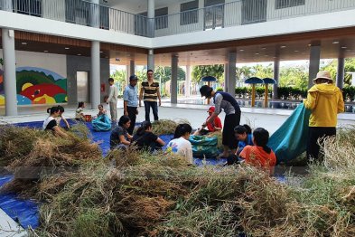 Team Đà Nẵng thu hái cây thuốc (20.06.2020)