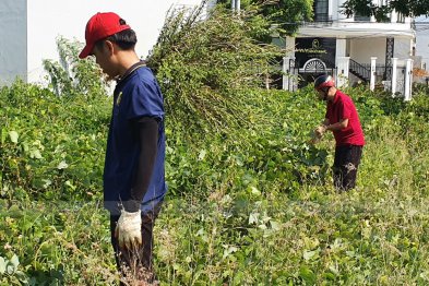 Team Đà Nẵng thu hái cây thuốc (20.06.2020)