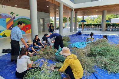 Team Đà Nẵng thu hái cây thuốc (20.06.2020)