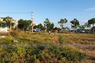 Team Đà Nẵng thu hái cây thuốc (20.06.2020)