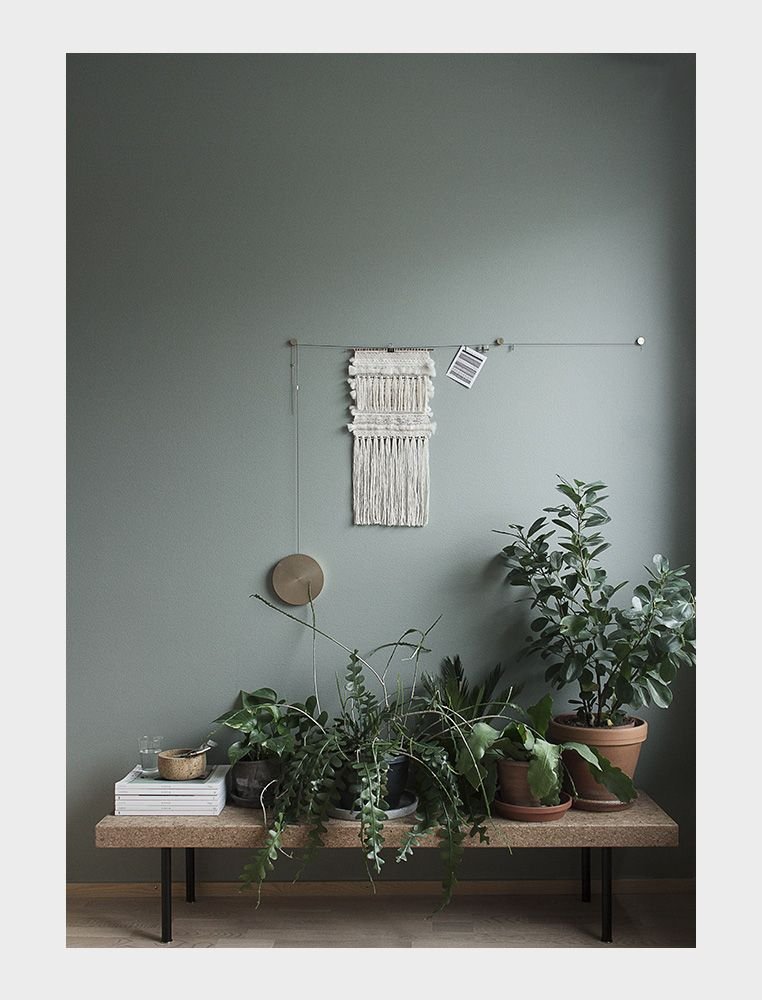 trang-tri-cay-xanh-trong-nha-1