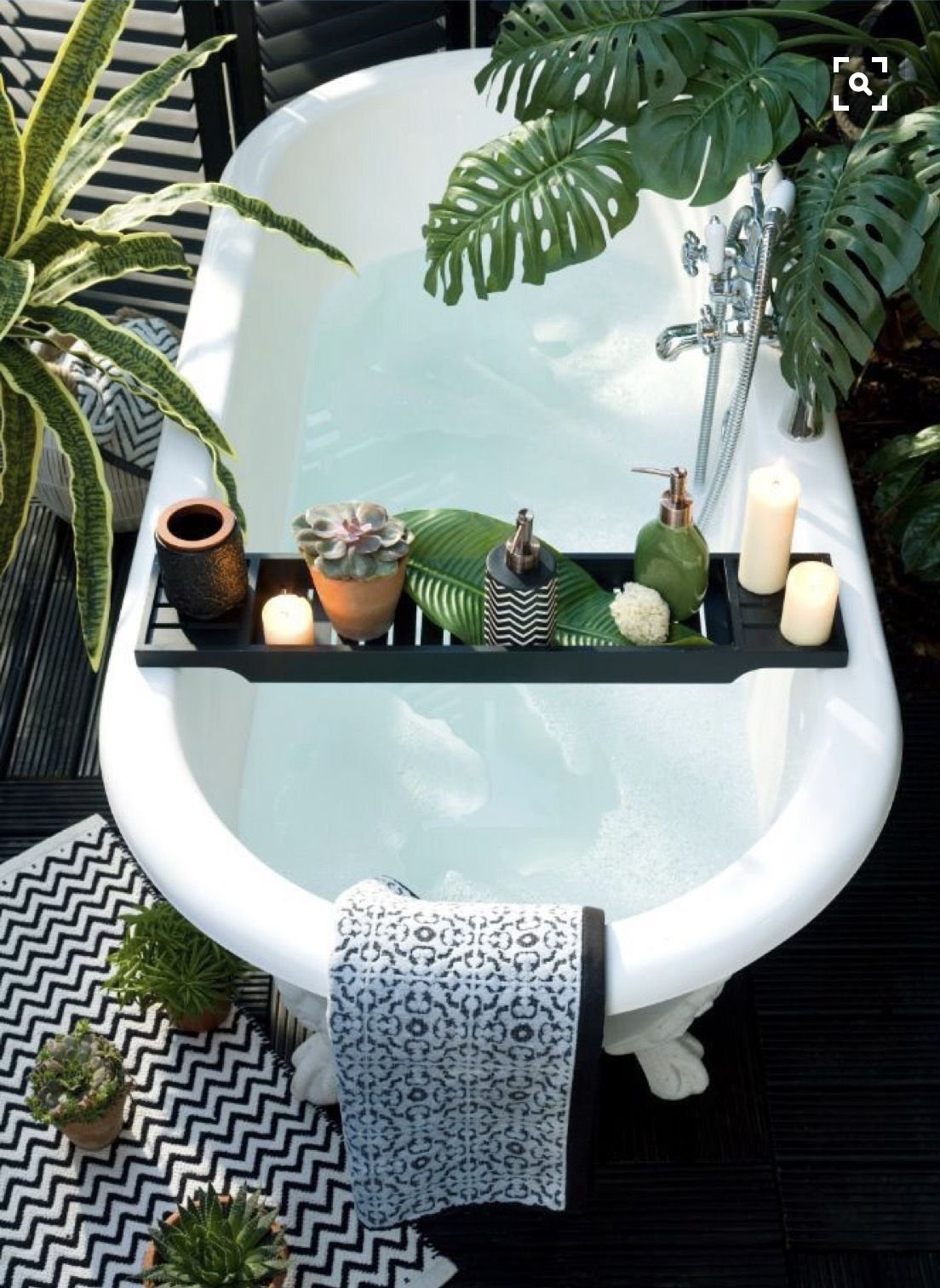 trang-tri-cay-xanh-trong-nha-8