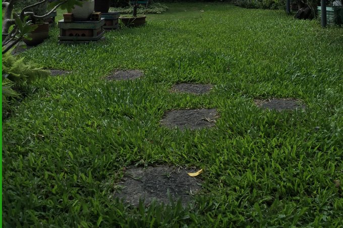 thiet-ke-noi-that-nha-vuon-5