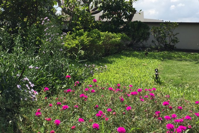 thiet-ke-noi-that-nha-vuon-6