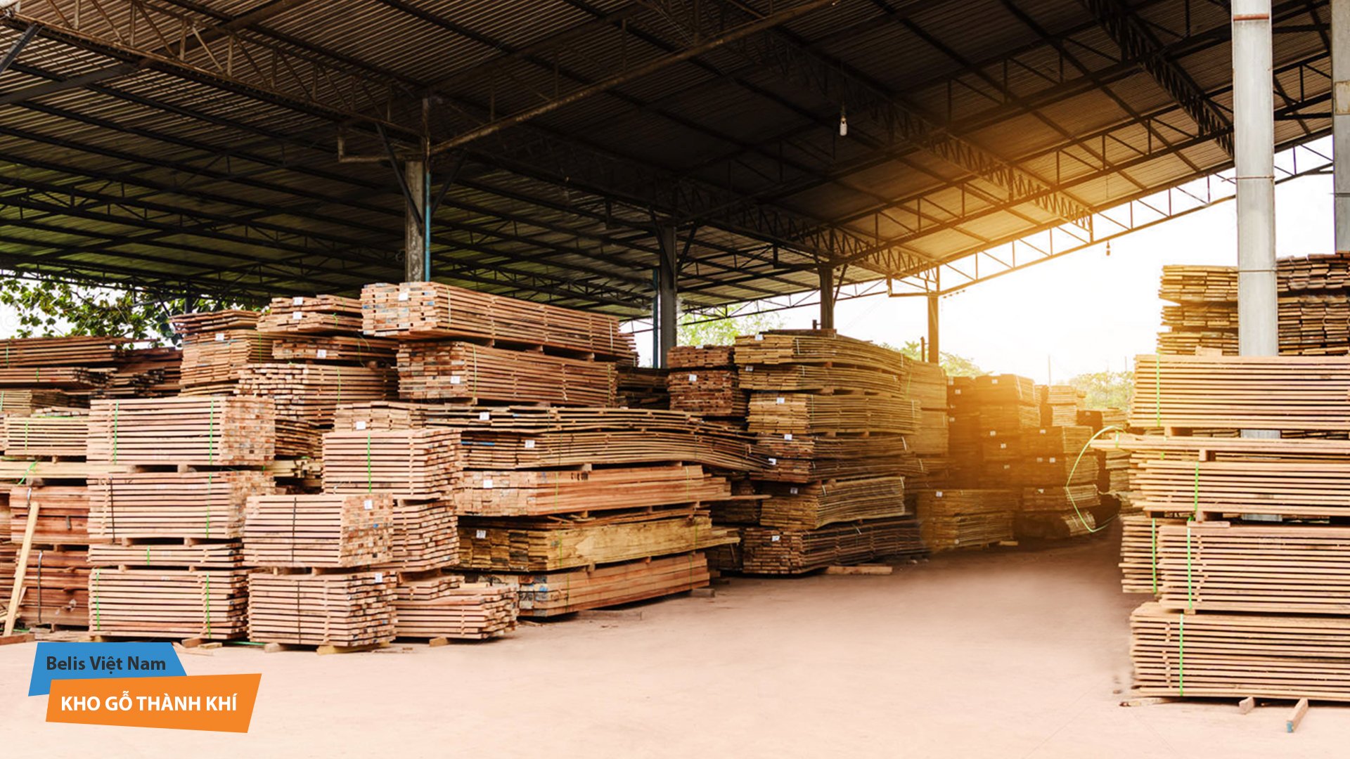 A23 Kho ván - gỗ thành khí
