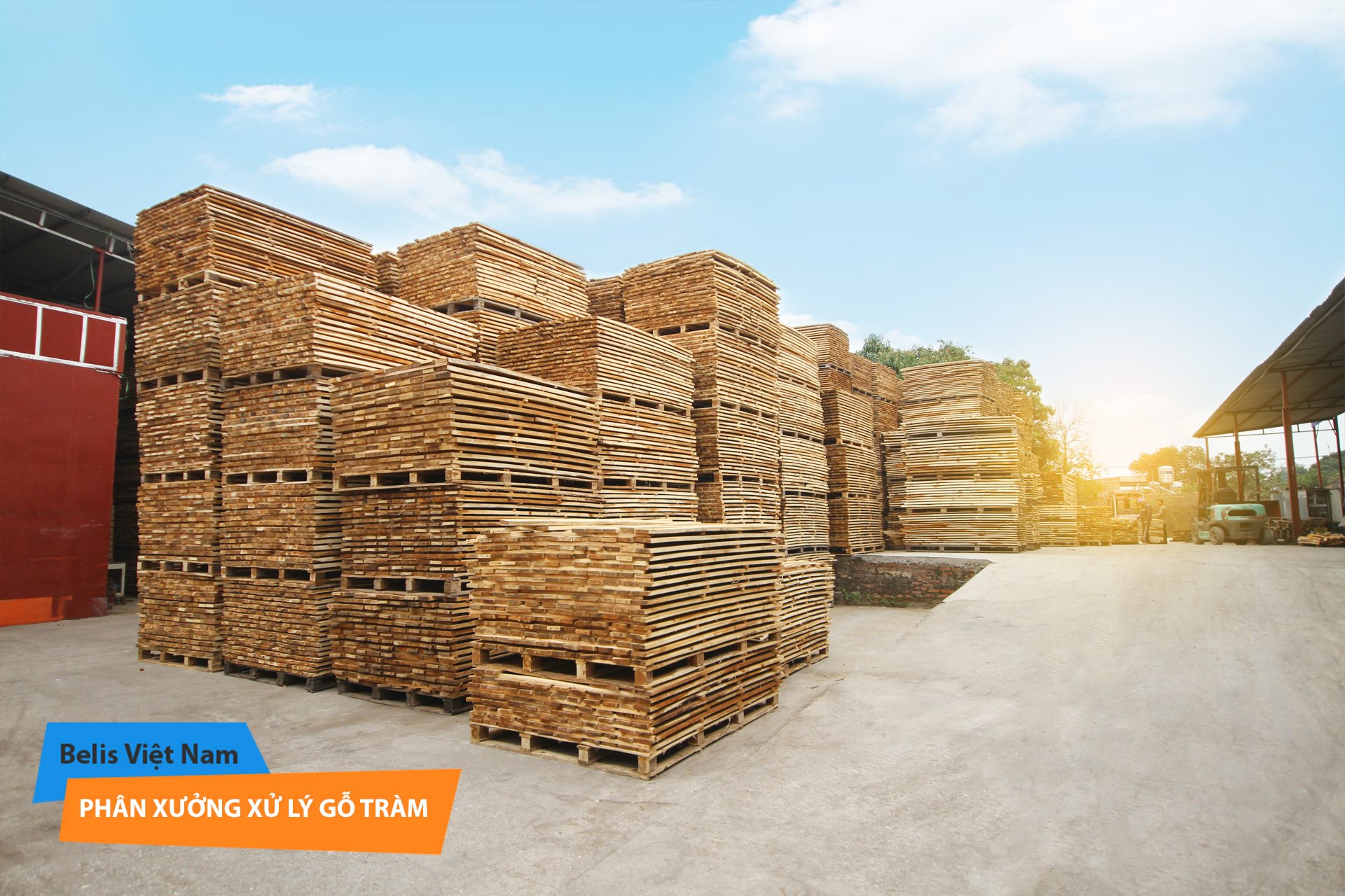 A23-TMB, Gỗ Keo Tràm nguyên liệu